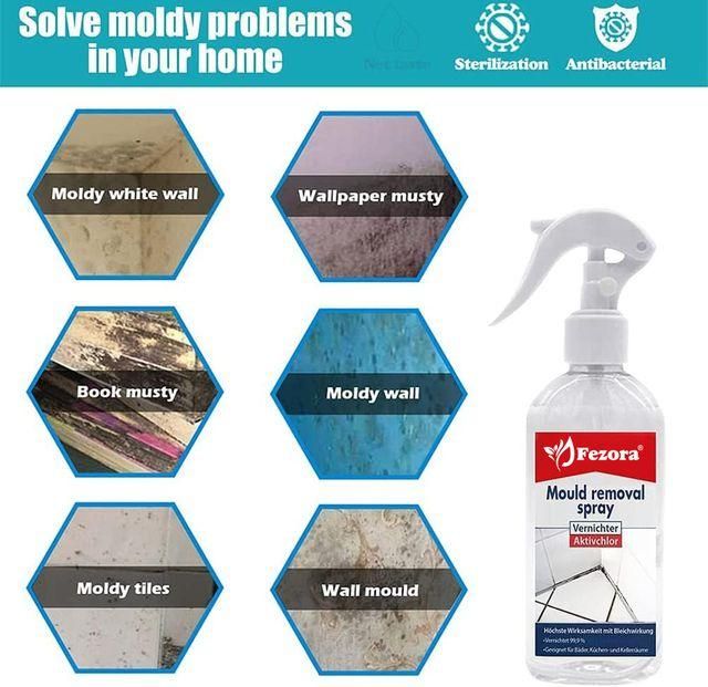 MoldGuard – Anti-Mold Spray