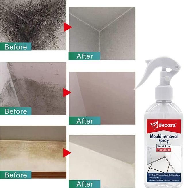 MoldGuard – Anti-Mold Spray