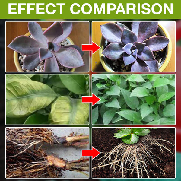 Plant Growth Enhancer Supplement (Buy 1 get 1 Free)