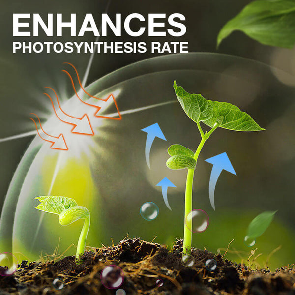Plant Growth Enhancer Supplement (Buy 1 get 1 Free)