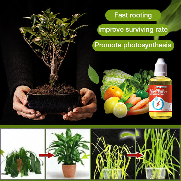 Plant Growth Enhancer Supplement (Buy 1 get 1 Free)