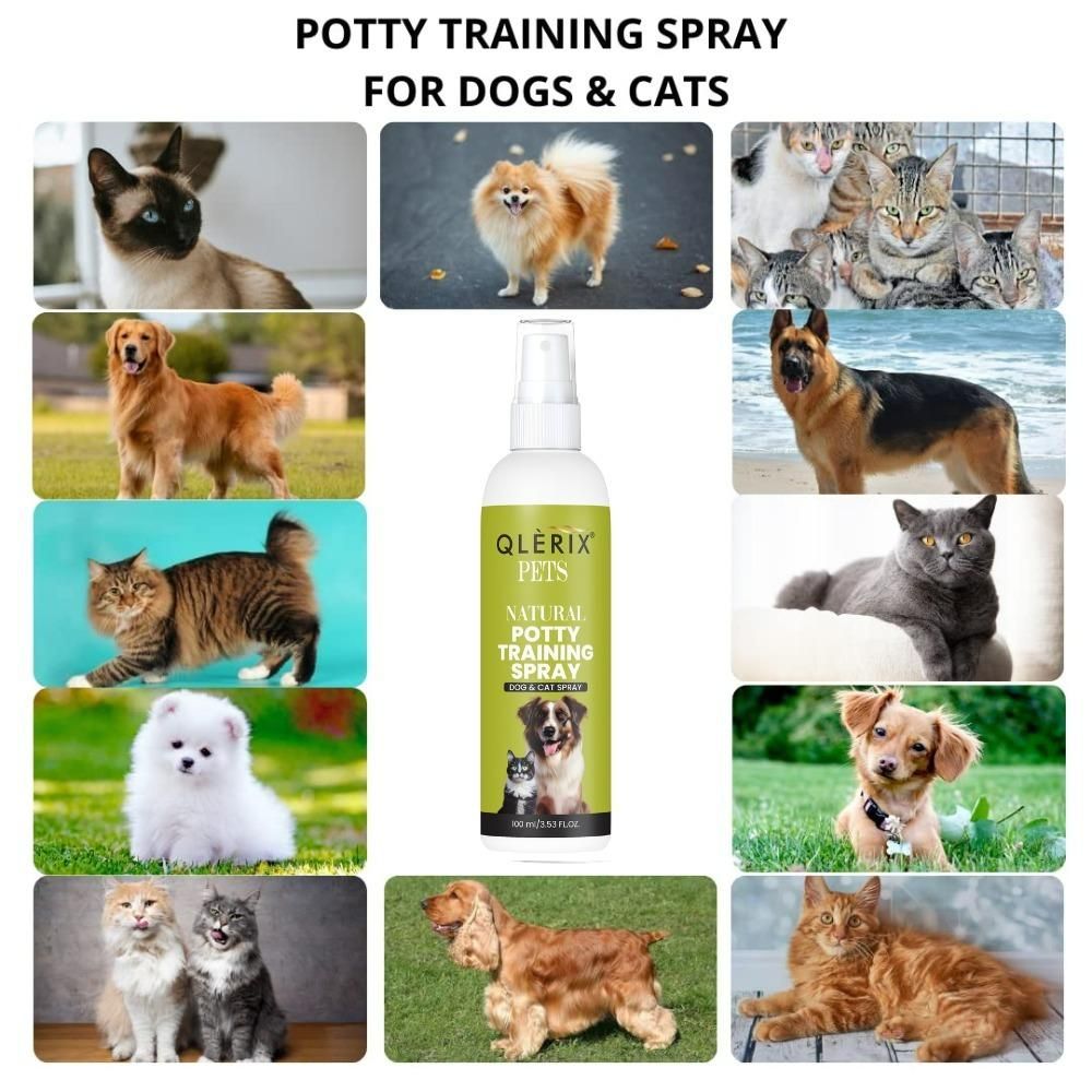 Pet Potty Training Spray (Buy 1 Get 1 Free)