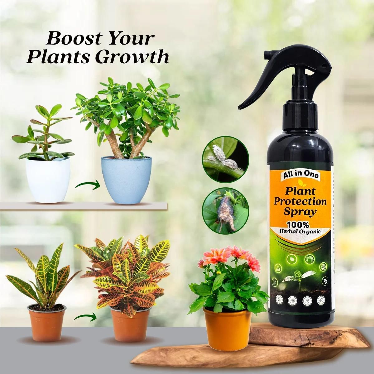 All in One Plant Protection Spray Buy 1 Get 1 Free