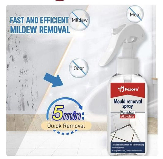 MoldGuard – Anti-Mold Spray