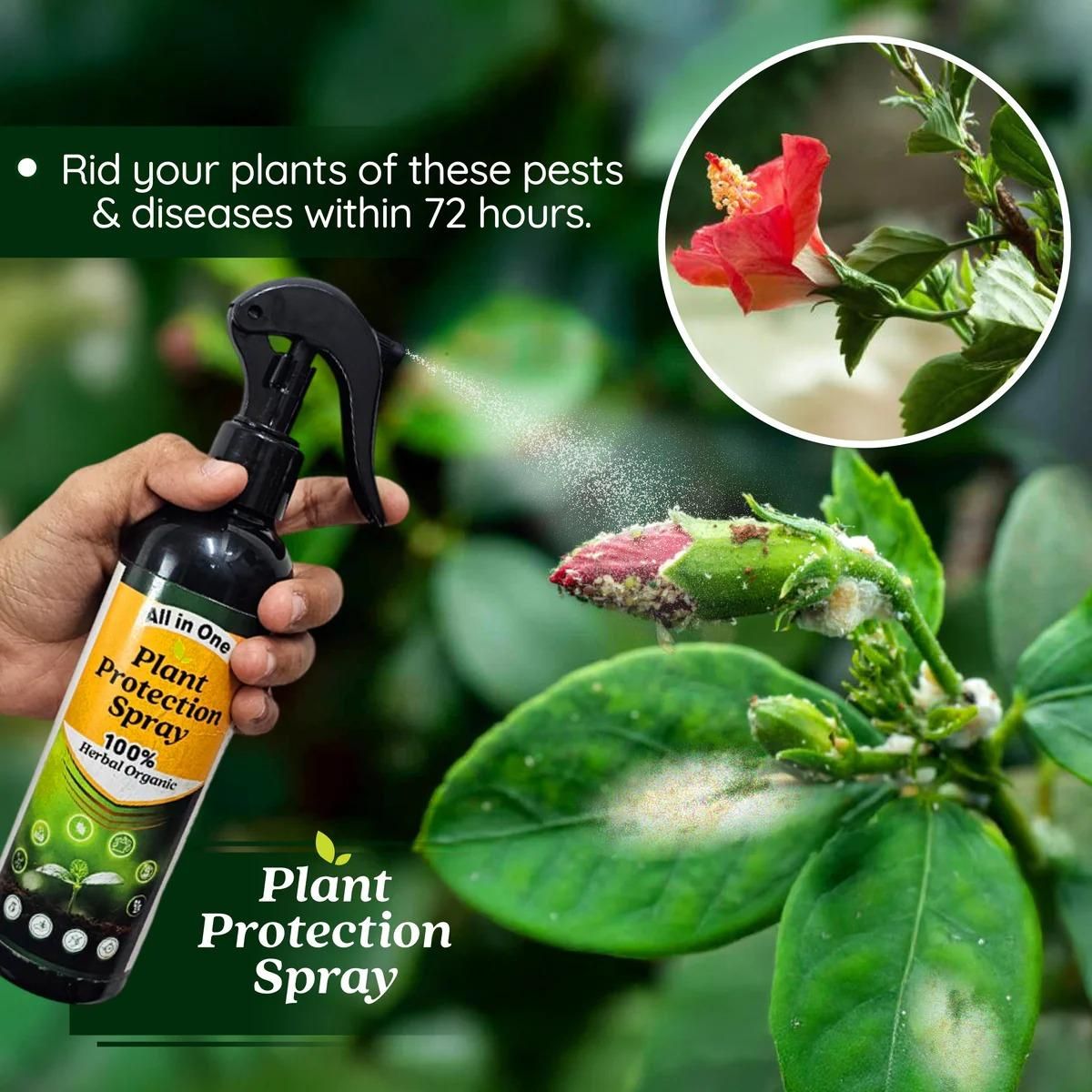 All in One Plant Protection Spray Buy 1 Get 1 Free