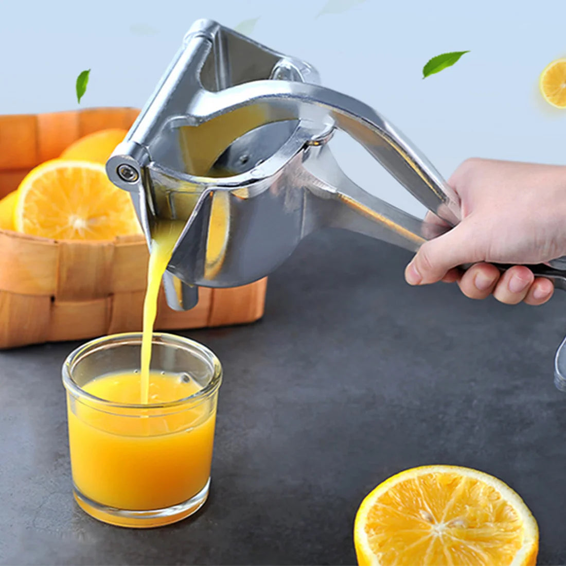 Hand Press Fruit Juicer