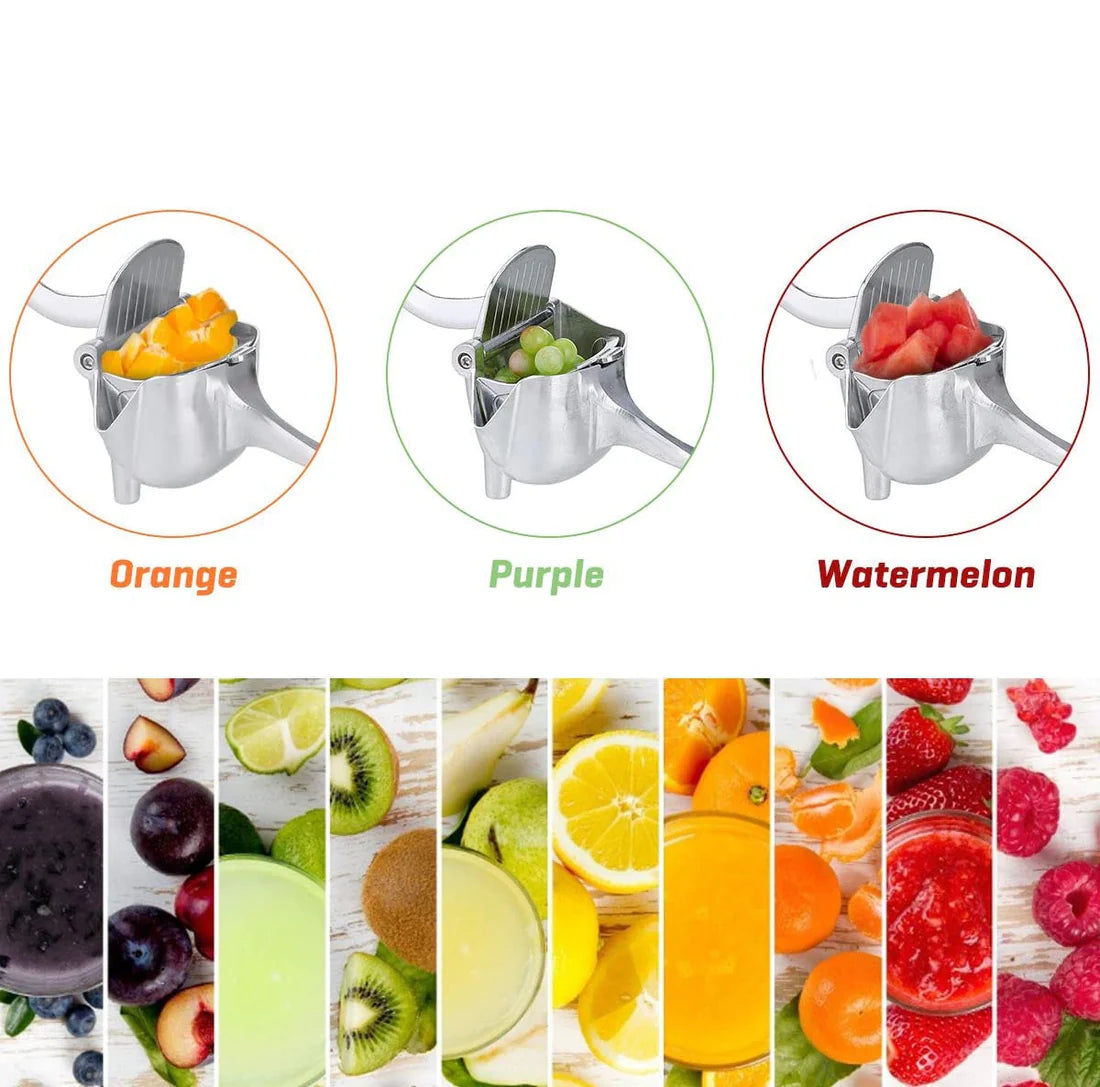 Hand Press Fruit Juicer